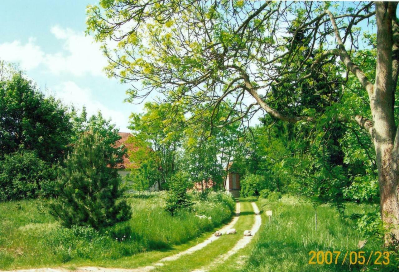 Gutshaus Alt-Jargenow Apartman Alt Jargenow Kültér fotó